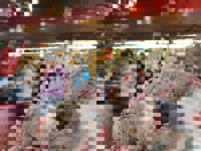 Photo of Tremblays Sweet Shop - Hayward WI